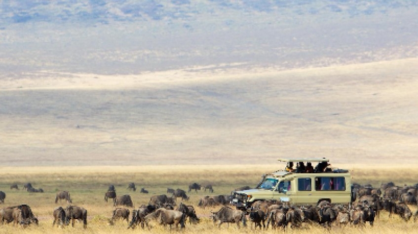 Great Migration Tanzania Adventure Safari 1
