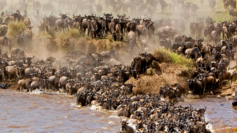 Great Migration Tanzania Adventure Safari 4