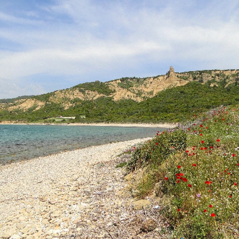 2 Days 1 Night Gallipoli & Troy Tour from Istanbul 4