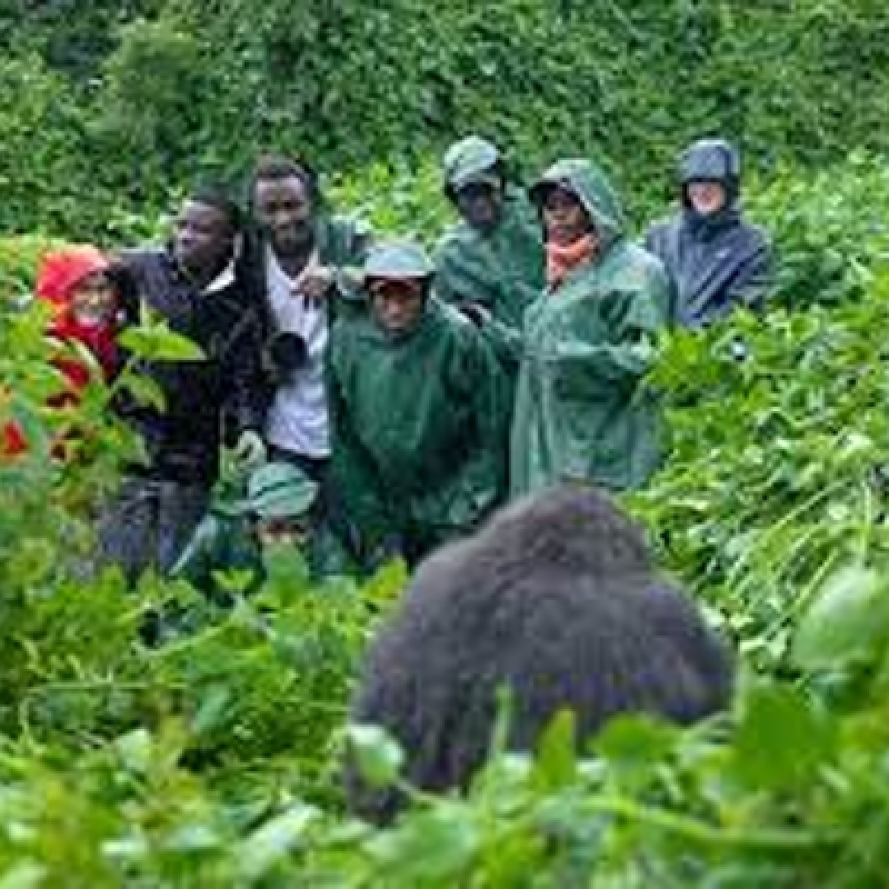 13 Day Rwanda-Uganda Big 5 Adventure 3