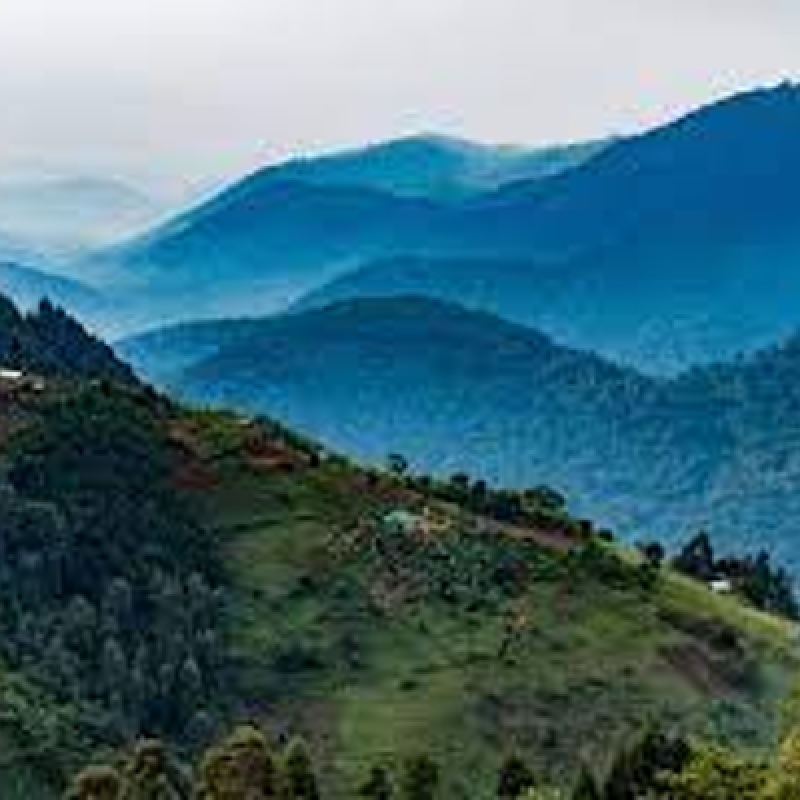 13 Day Rwanda-Uganda Big 5 Adventure 4