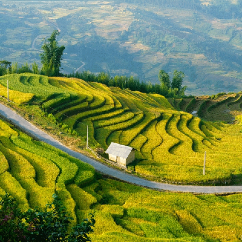 Northeast of Vietnam (10 Days - 9 Nights) 2