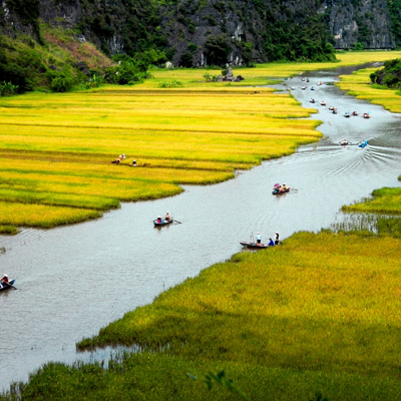 Hanoi - Tamcoc - Halong - Hue - Danang - Hoian - Saigon - Cantho - Phuquoc (15 Days - 14 Nights) 2