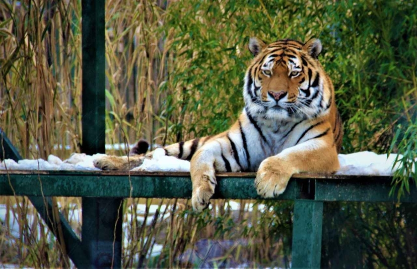 Ulink Natural Discovery Eco Package 6 Day Tours 3
