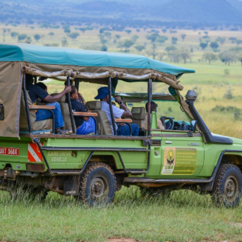 4 Days Safari to Queen Elizabeth National Park 3
