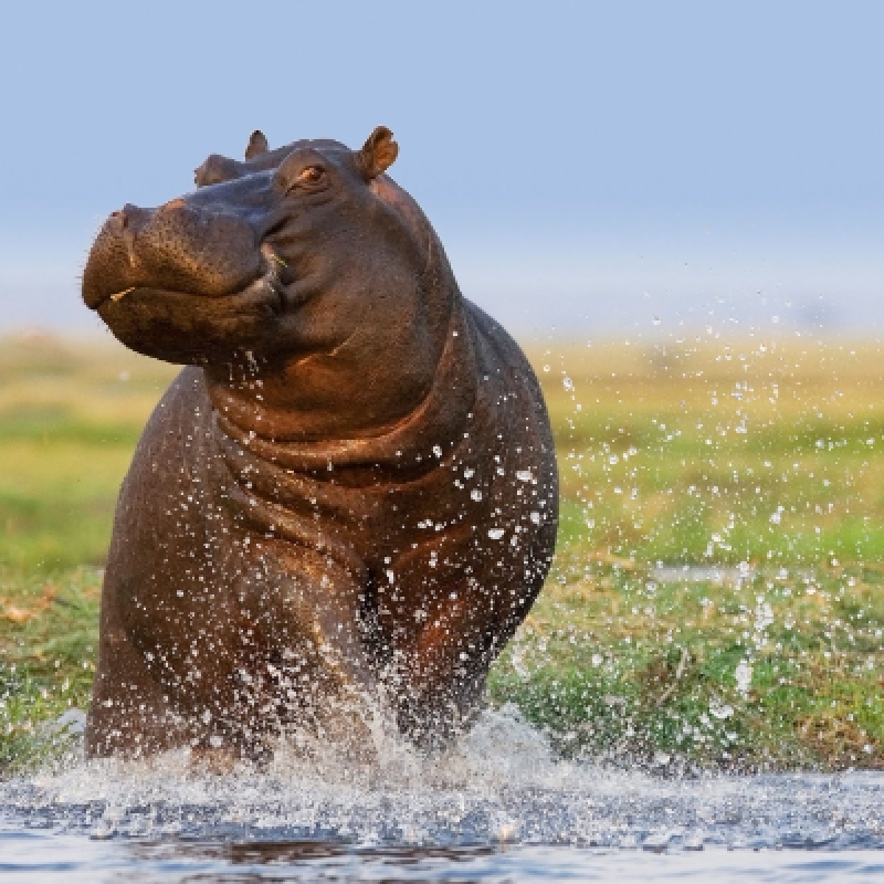 4 Days Safari to Queen Elizabeth National Park 4