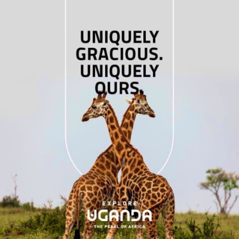 3 Days Murchison Falls National Park Safari 2
