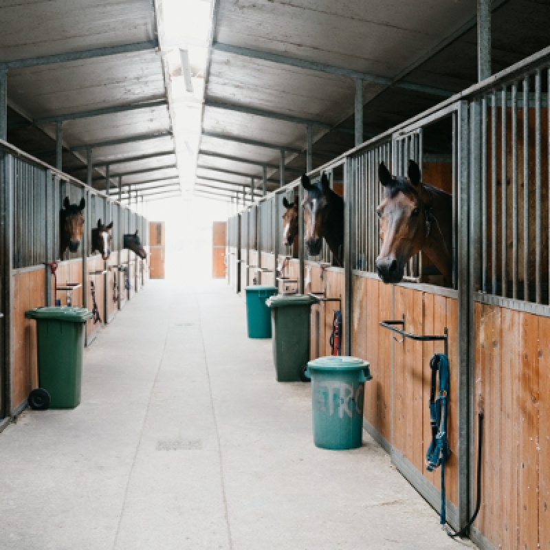 5 Days Horse Riding Package Istanbul Tour 2
