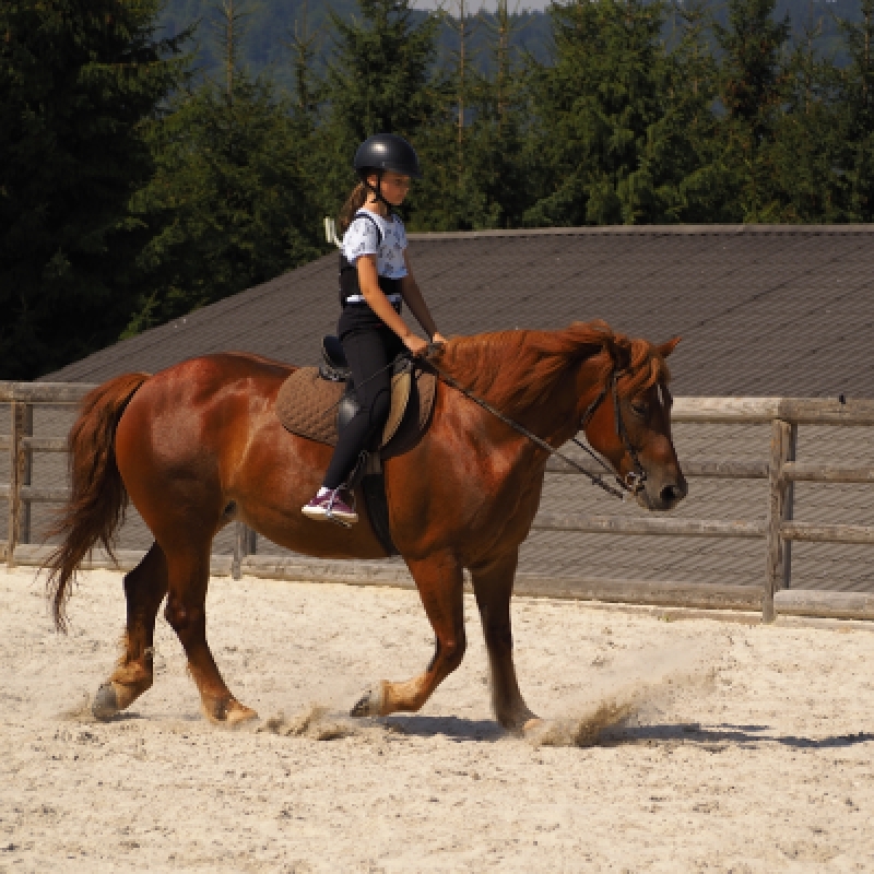 5 Days Horse Riding Package Istanbul Tour 3