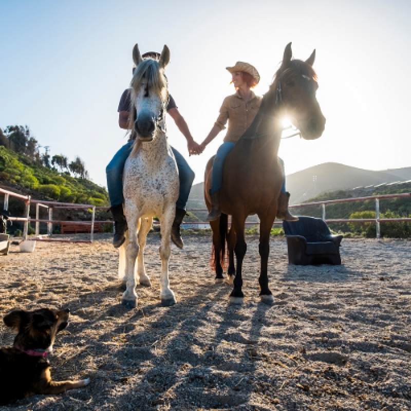 5 Days Horse Riding Package Istanbul Tour 4
