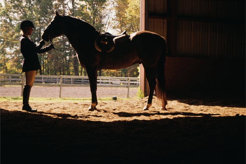 Daily Istanbul Horse Safari Tour 3