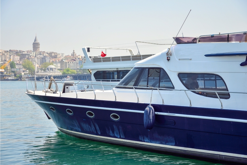 Istanbul Bosphorus Cruise & Black Sea Tour – Full Day Scenic & Cultural Experience 2
