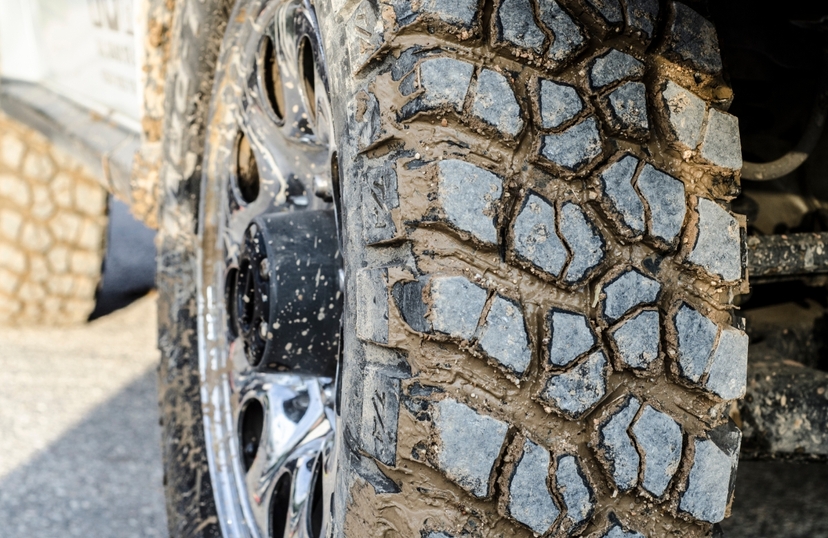 Daily Jeep Safari Istanbul – Thrilling Adventure & Natural Escape Near Istanbul 4
