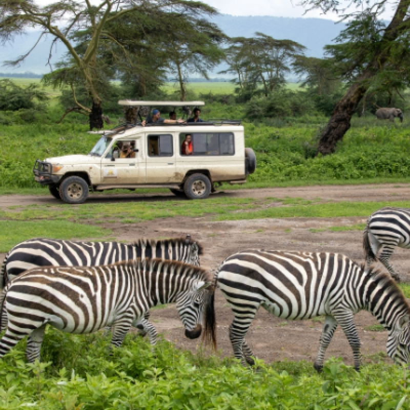10-Day 9-Night Tanzania Comfort Safari & Zanzibar 3