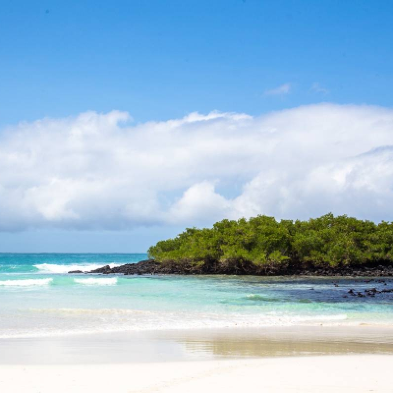 8 Days Galapagos Island Hopping Tour (San Cristobal - Santa Cruz - Isabela) 2