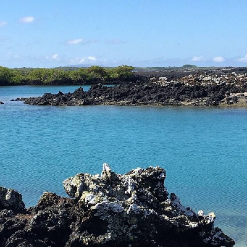 8 Days Galapagos Island Hopping Tour (San Cristobal - Santa Cruz - Isabela) 3