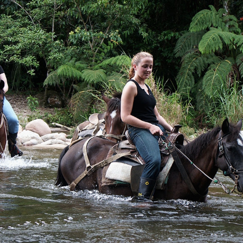 4 Days Amazon Tena Lodge 1