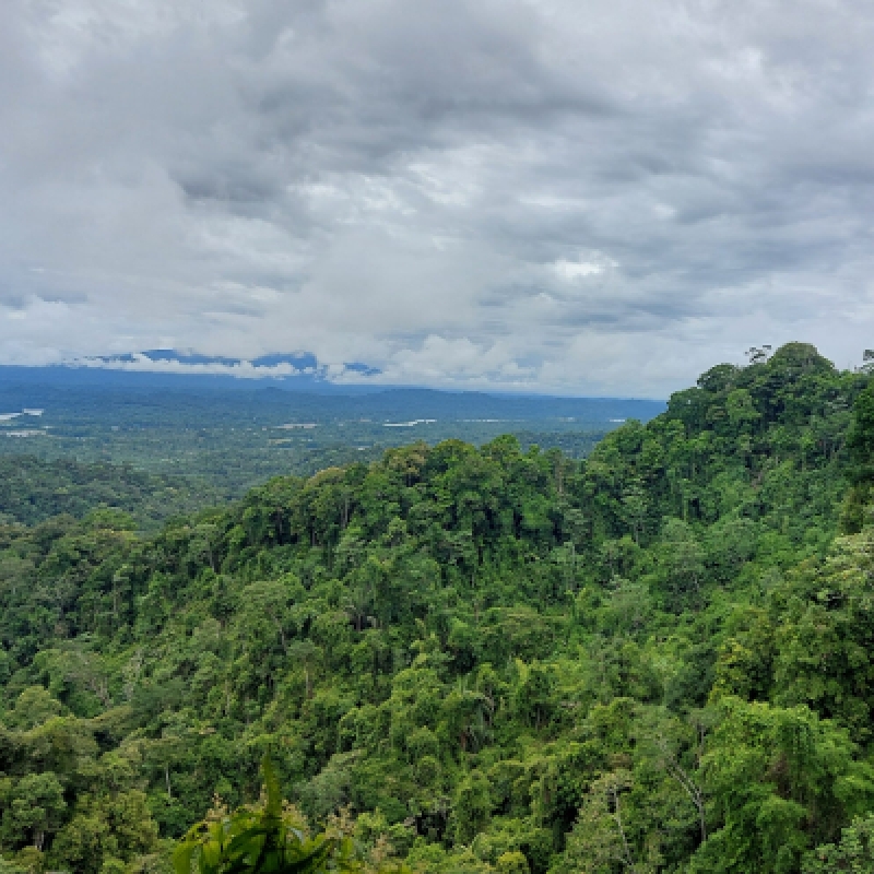 4 Days Amazon Tena Lodge 3