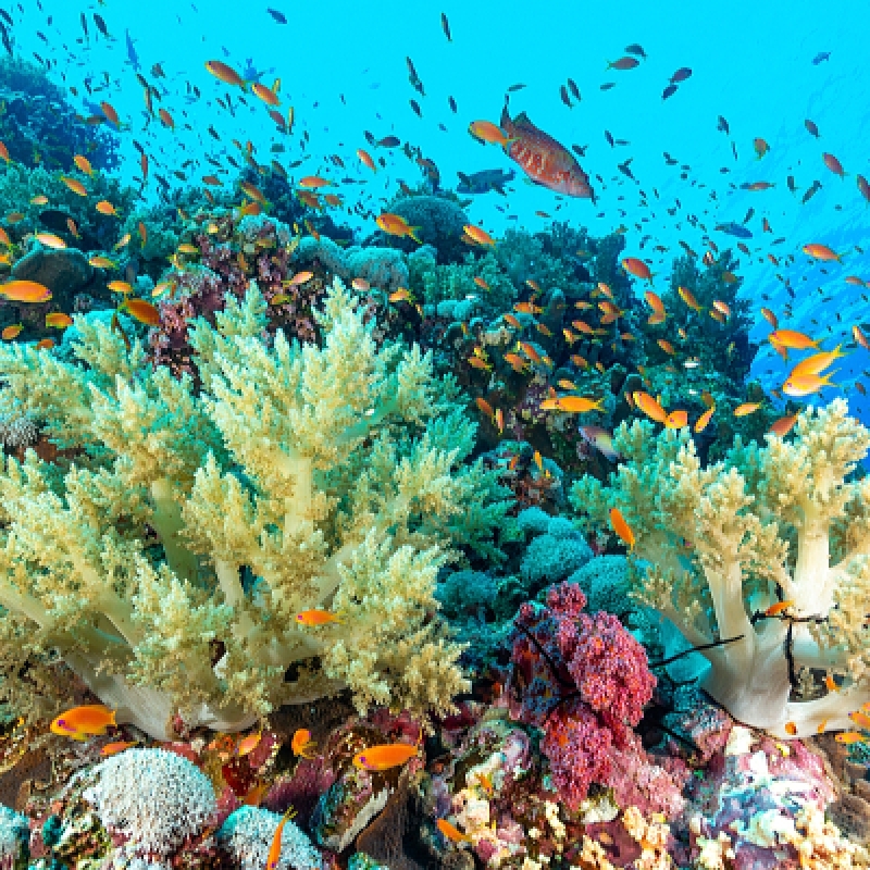 5 Days Galapagos Island Hopping: San Cristobal & Santa Cruz 4