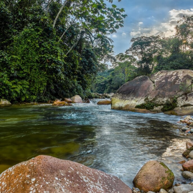 4 Days Amazon Safari Experience 2