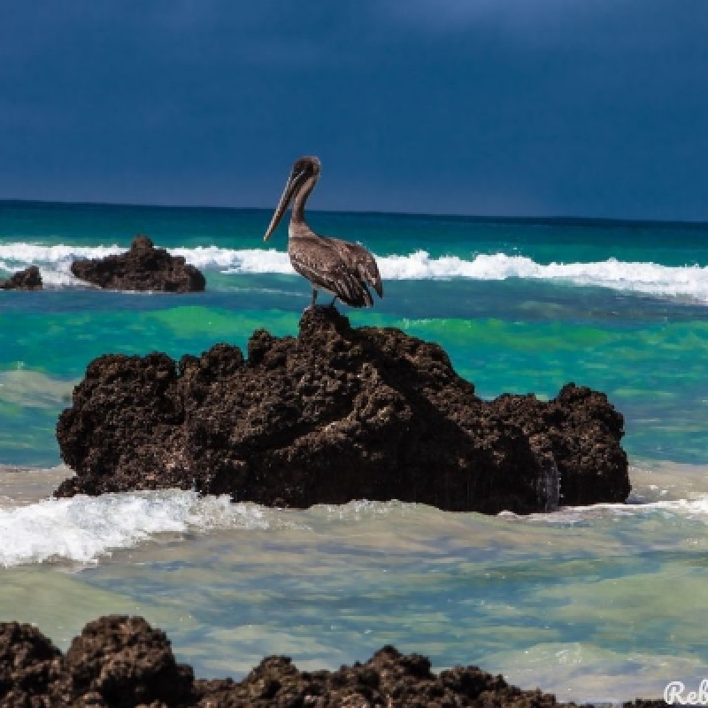 7 Days Enchanting Galapagos 2