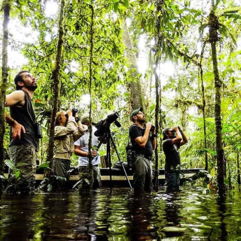 8 Days Cuyabeno Wildlife Reserve and Middle of the World Discovery 3