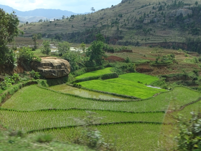 From the Highlands to the Mozambique Channel 2