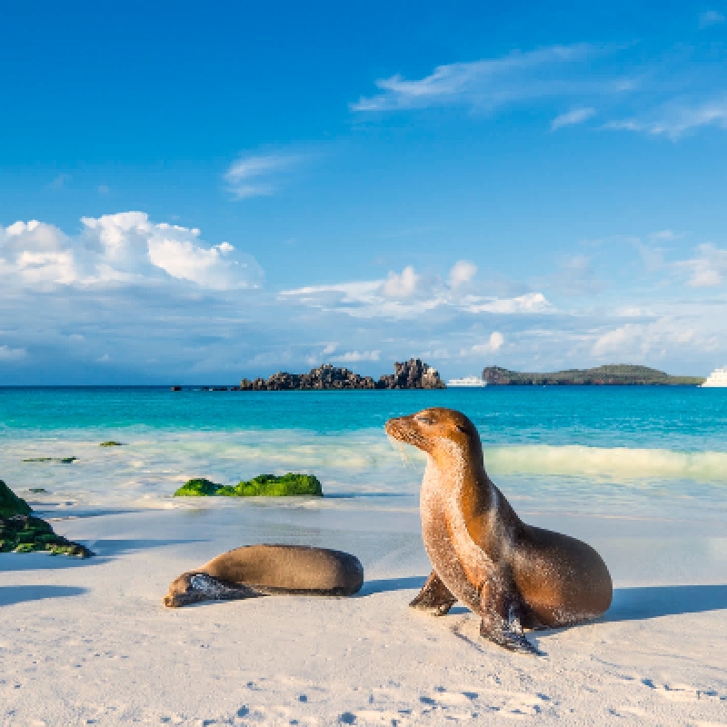 8 Days Galapagos Island Hopping in Santa Cruz and Isabela 4