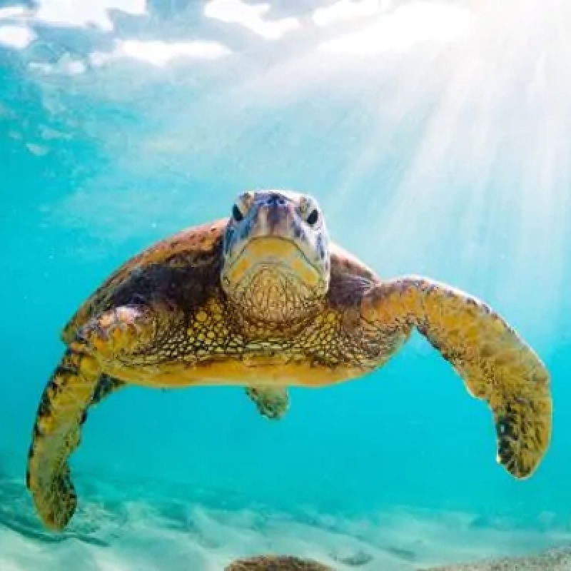 7 Days on a Budget Galapagos Islands Tour in San Cristobal 4