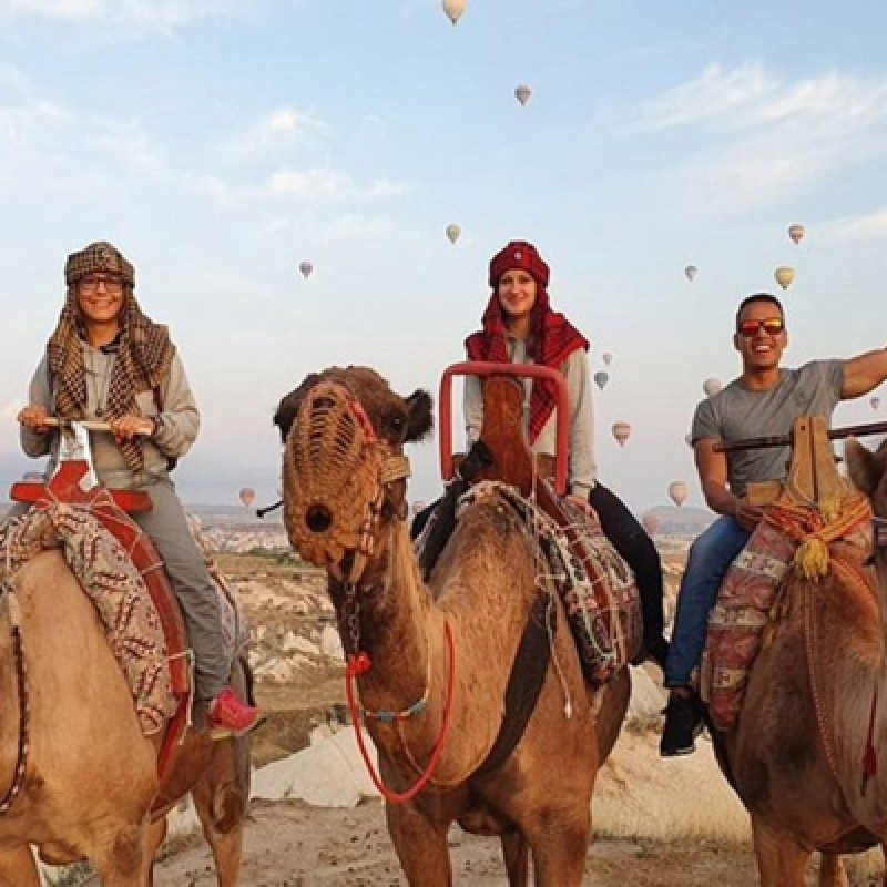 Cappadocia Camel Riding (Including Transfer) 2