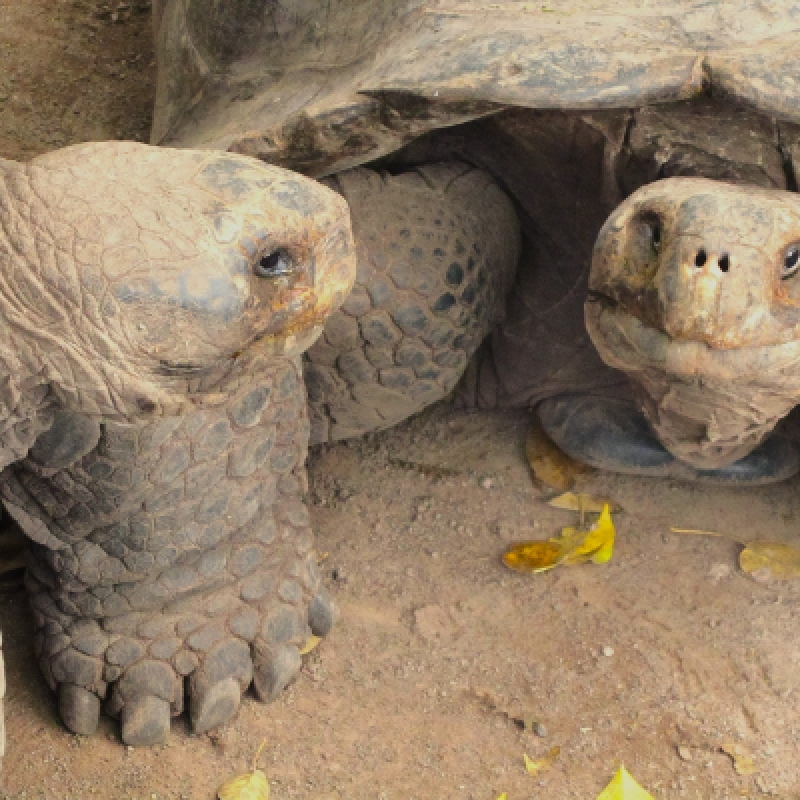10 Days Galapagos Highlights Small Group Tour 1