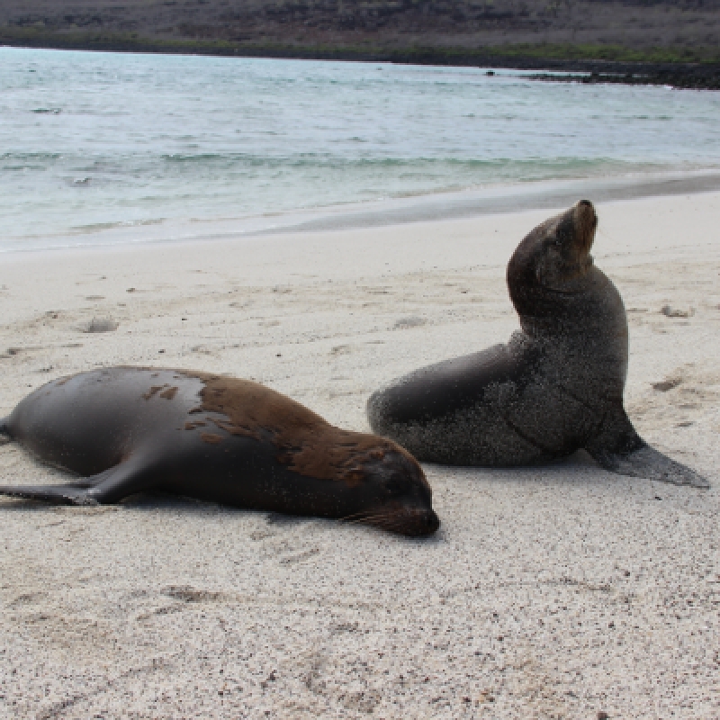 10 Days Galapagos Highlights Small Group Tour 2