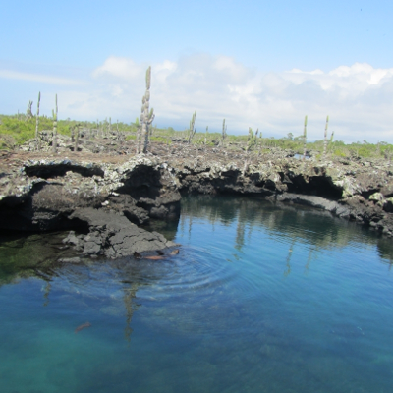10 Days Galapagos Highlights Small Group Tour 4