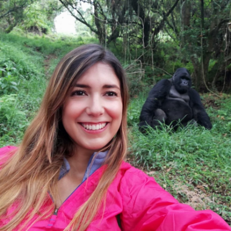 2 Days Gorilla Trekking in Bwindi from Kigali / Rwanda 4