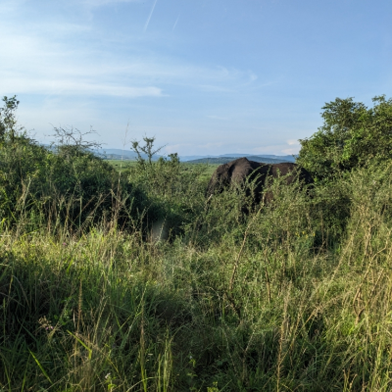 1 Full Day Akagera National Park Game drive 3