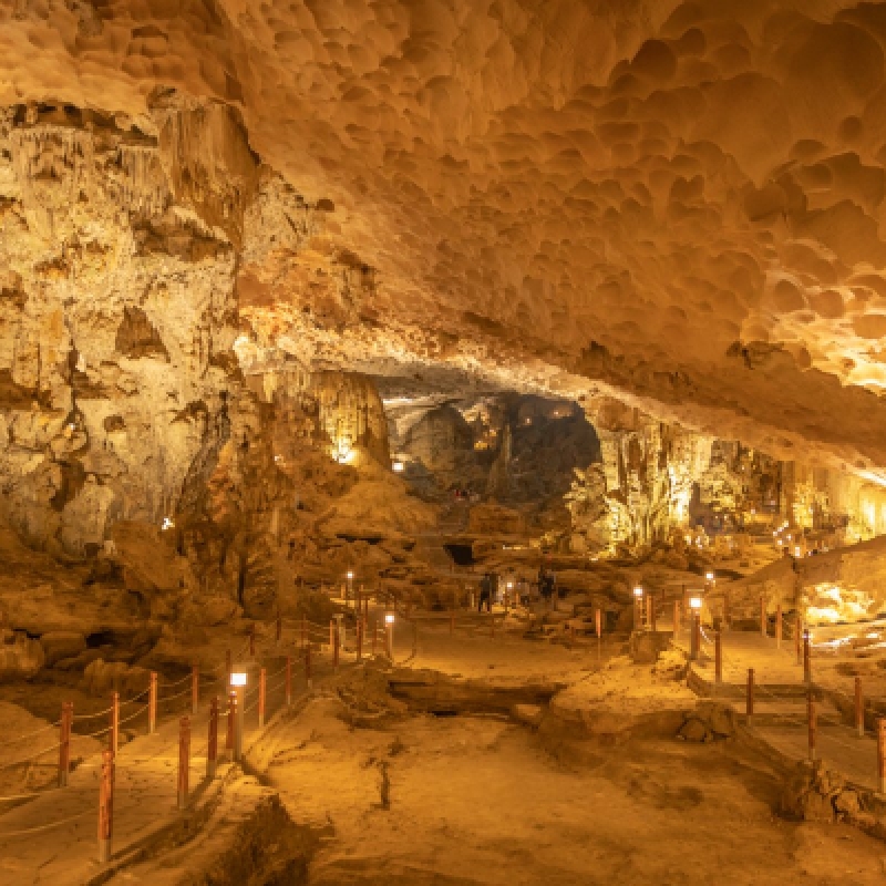 5-Star Luxury Ha Long Bay Day Cruise Sung Sot Cave Titop Island Buffet Lunch 4