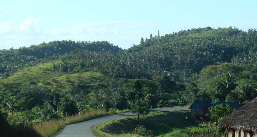 Evergreen tour of the North-East by boat 3