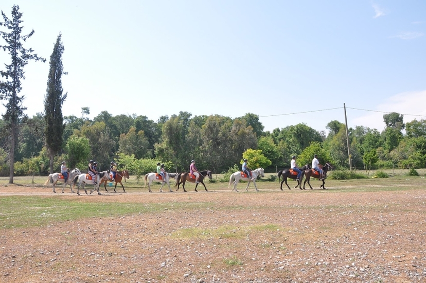 Daily Fethiye Horse Riding Tour 3