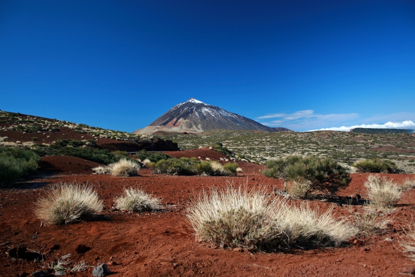 Private excursion to Teide National Park Daily Tour 4