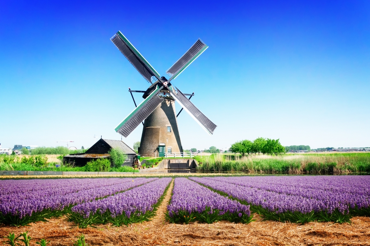 8 Days 7 Nights Europe Packaged Tour Amsterdam - Germany - Austria - Italia - Switzerland - France - Belgium 1