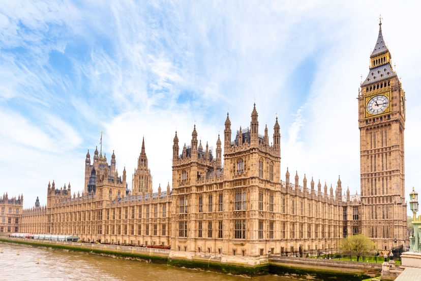 Daily London City Tour by Car 4 hours 2