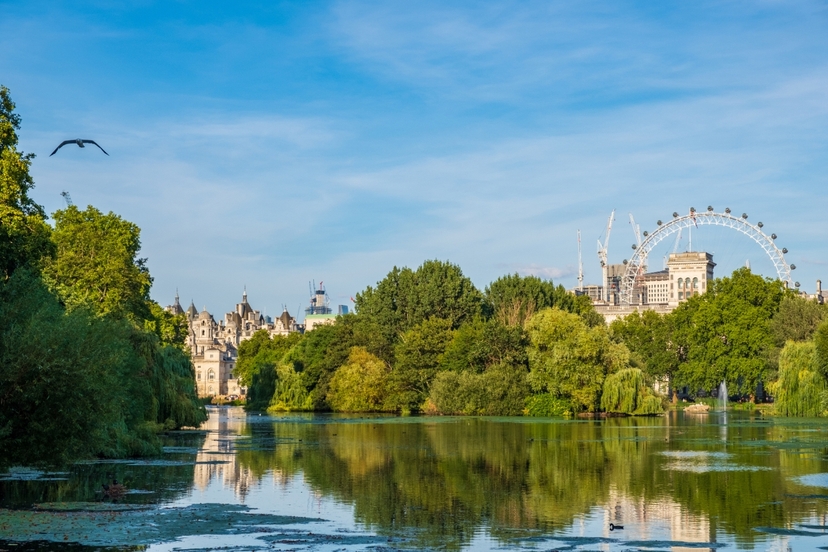 Daily London City Tour by Car 4 hours 4