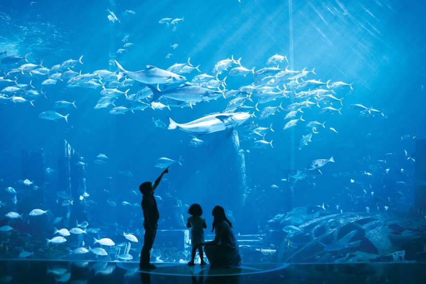 Dubai:-The Lost Chambers aquarium Ticket & shared Transfer 3