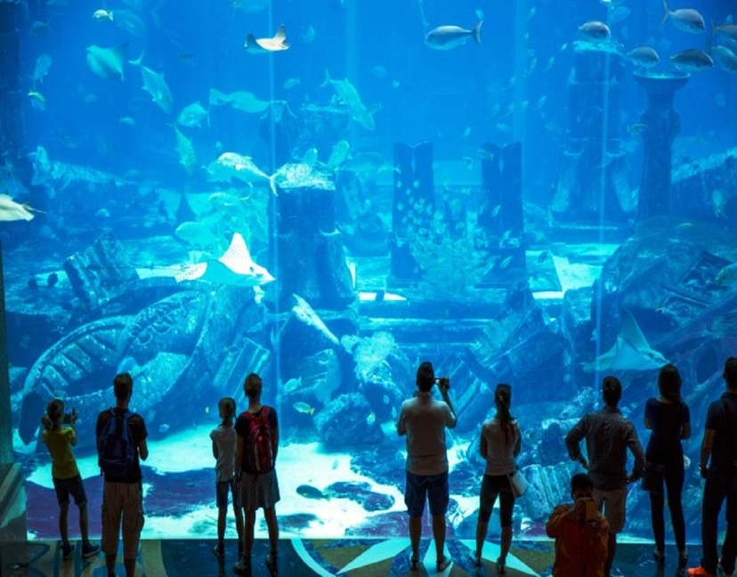 Dubai:-The Lost Chambers aquarium Ticket & shared Transfer 4