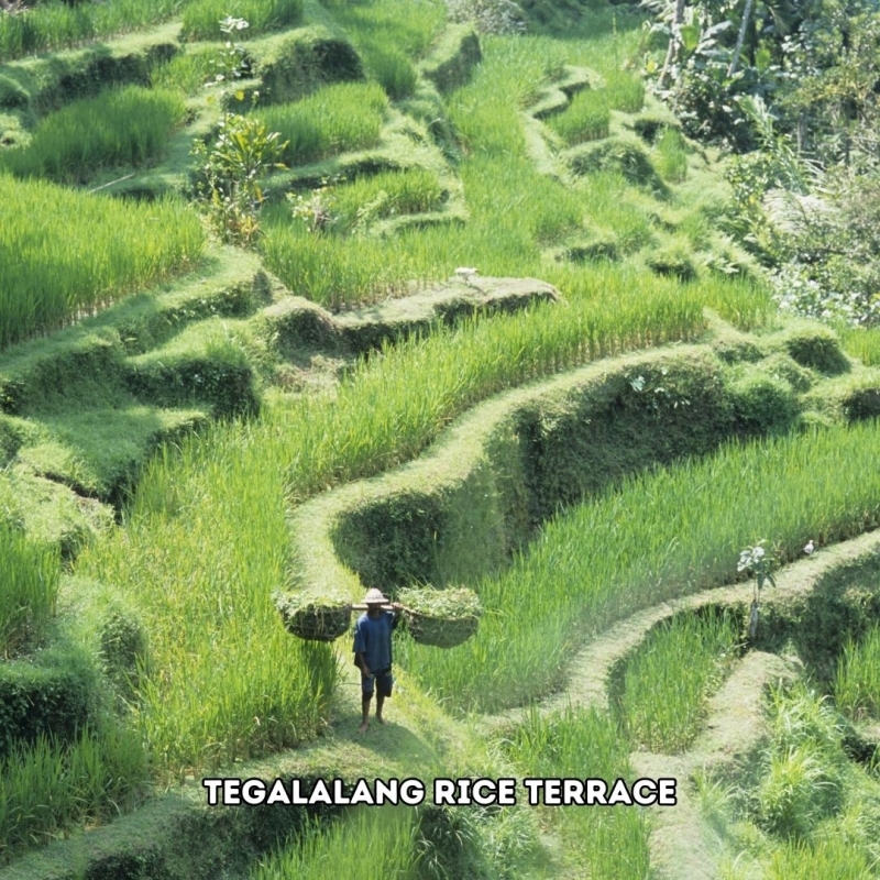 4D3N Xperience Bali 3