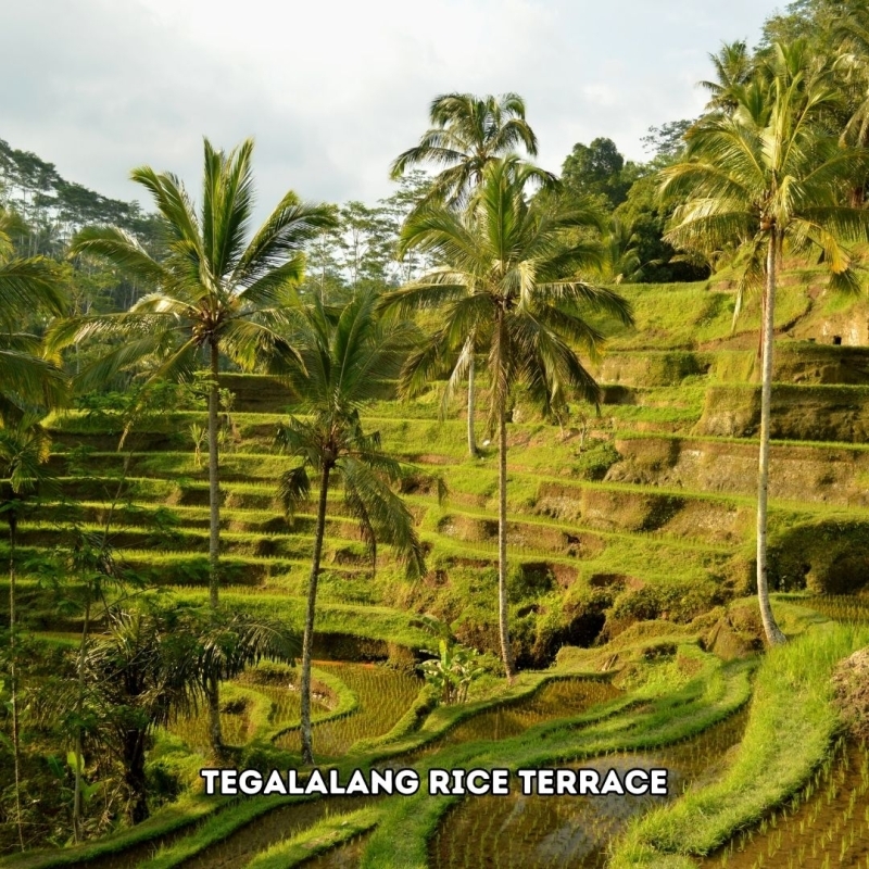 5 Days 4 Nights Bali Super Xceptional Tour Premium Experience 2