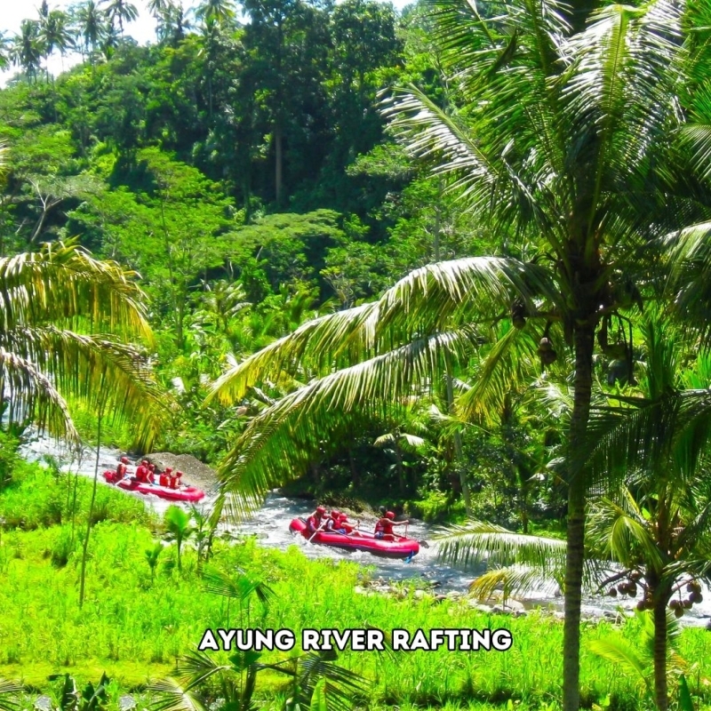 5 Days 4 Nights Bali Super Xtraordinary Tour Luxury Experience 3
