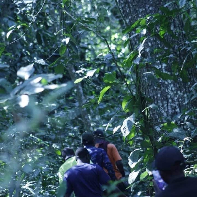 8-Day Uganda's Wild Beauty Beckons 2
