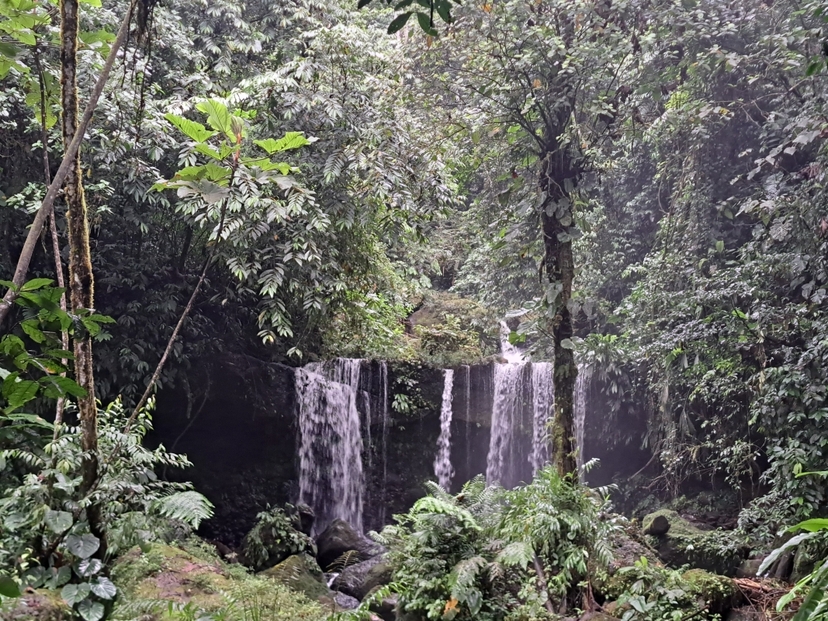 4 Days Amazon Sustainable Lodge 3
