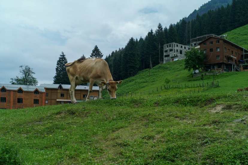 Eastern Black Sea Tour, 6 Days Starts from Trabzon 2